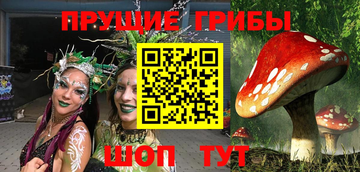 Галлюциногенные грибы мухоморы Ишим
