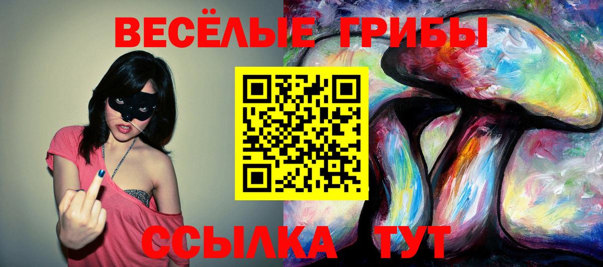 Галлюциногенные грибы Psilocybine cubensis  Вход с VPN  Галлюциногенные грибы мицелий  Ишим 